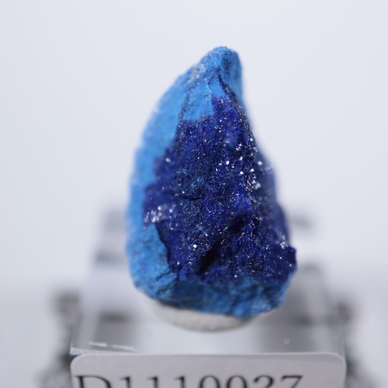 ����뻺�������饤��