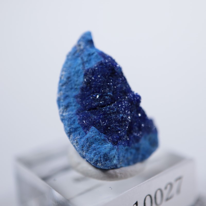 ����뻺�������饤��