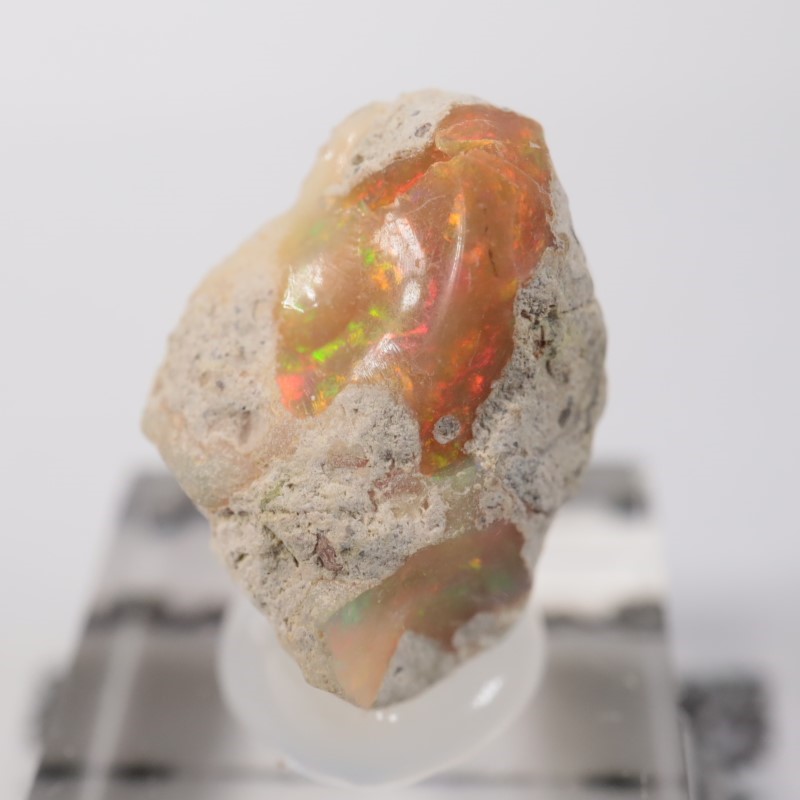 �������ԥ��������ѡ���