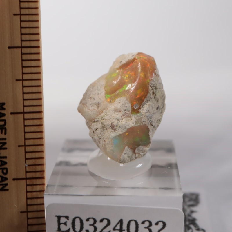 �������ԥ��������ѡ���