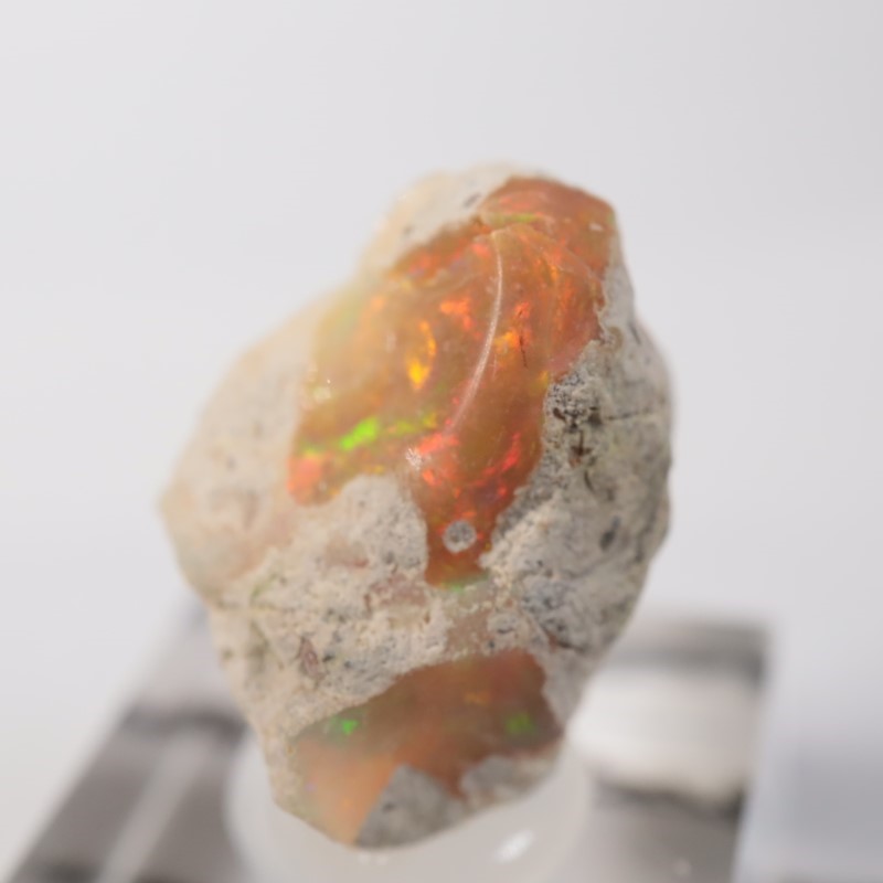 �������ԥ��������ѡ���