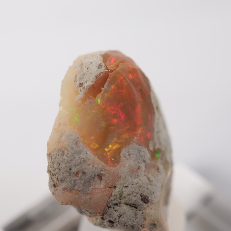 �������ԥ��������ѡ���