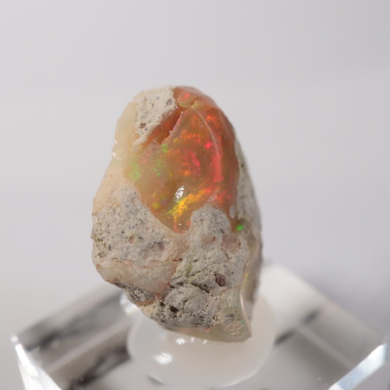 �������ԥ��������ѡ���