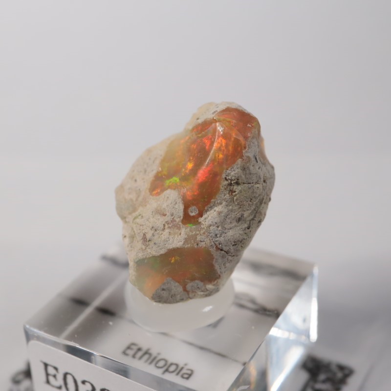 �������ԥ��������ѡ���