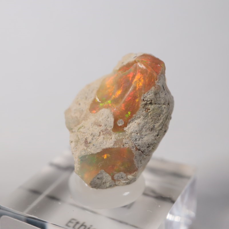 �������ԥ��������ѡ���