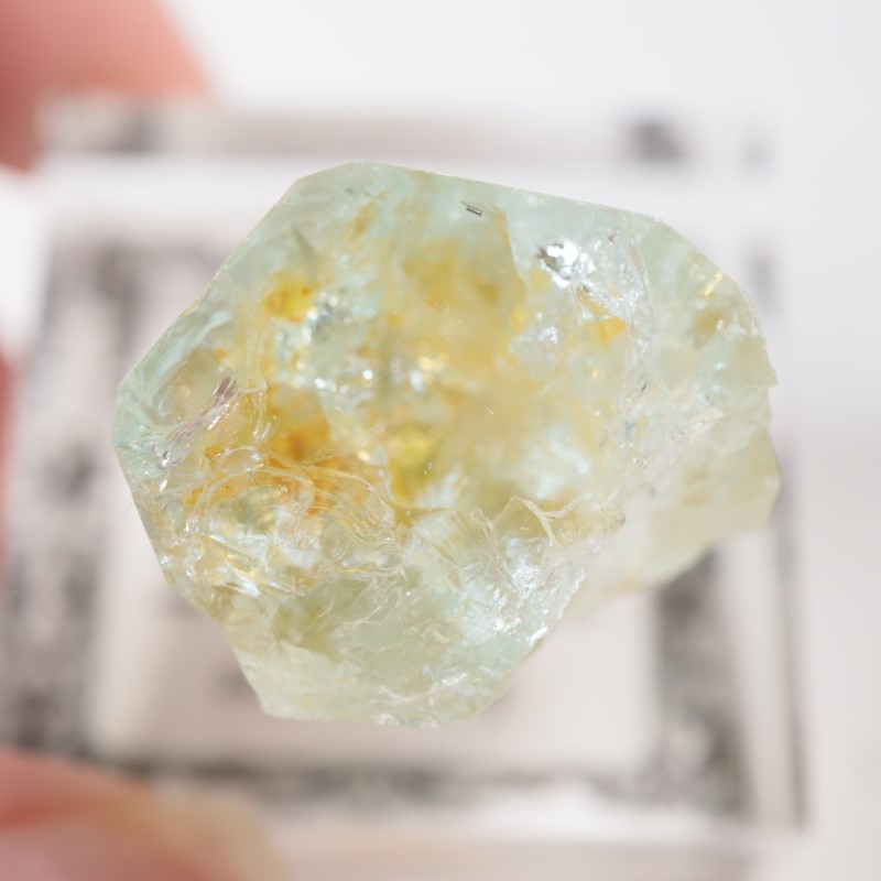 �����󥴹ۻ��� �������ޥ��