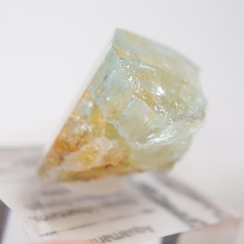 �����󥴹ۻ��� �������ޥ��