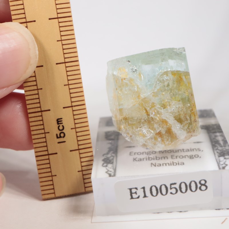 �����󥴹ۻ��� �������ޥ��