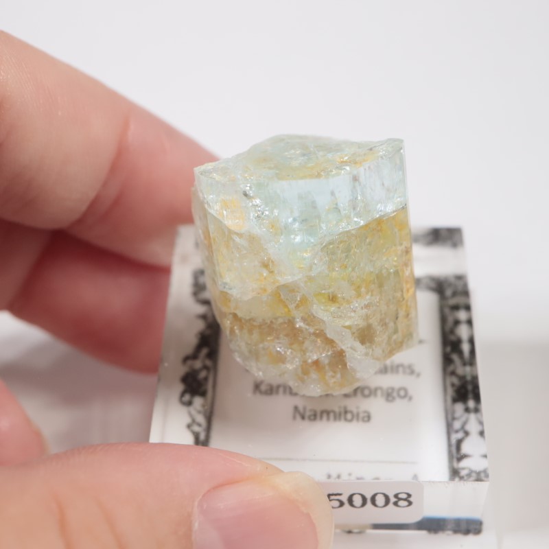 �����󥴹ۻ��� �������ޥ��