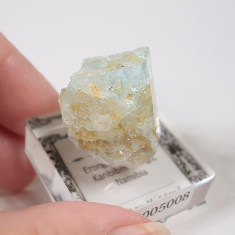 �����󥴹ۻ��� �������ޥ��