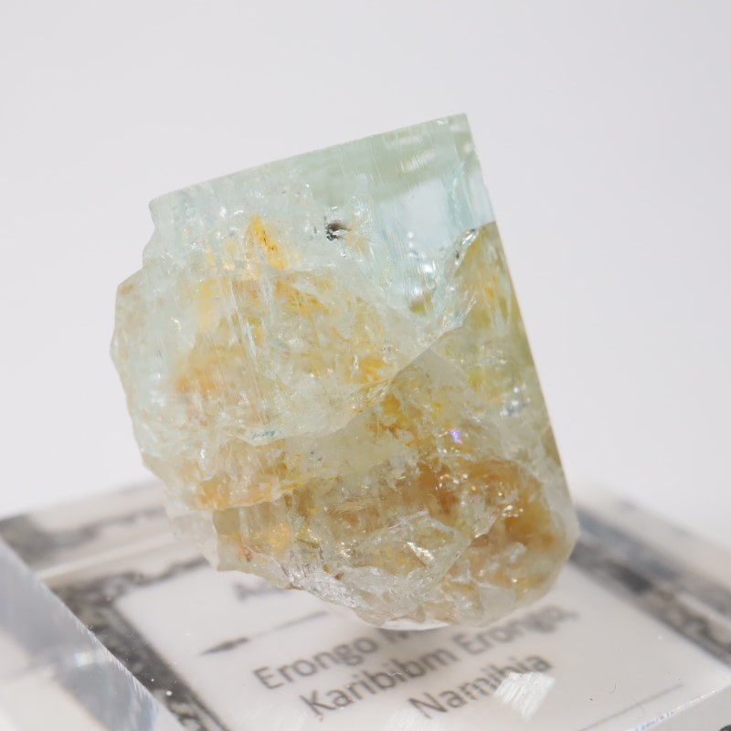 �����󥴹ۻ��� �������ޥ��