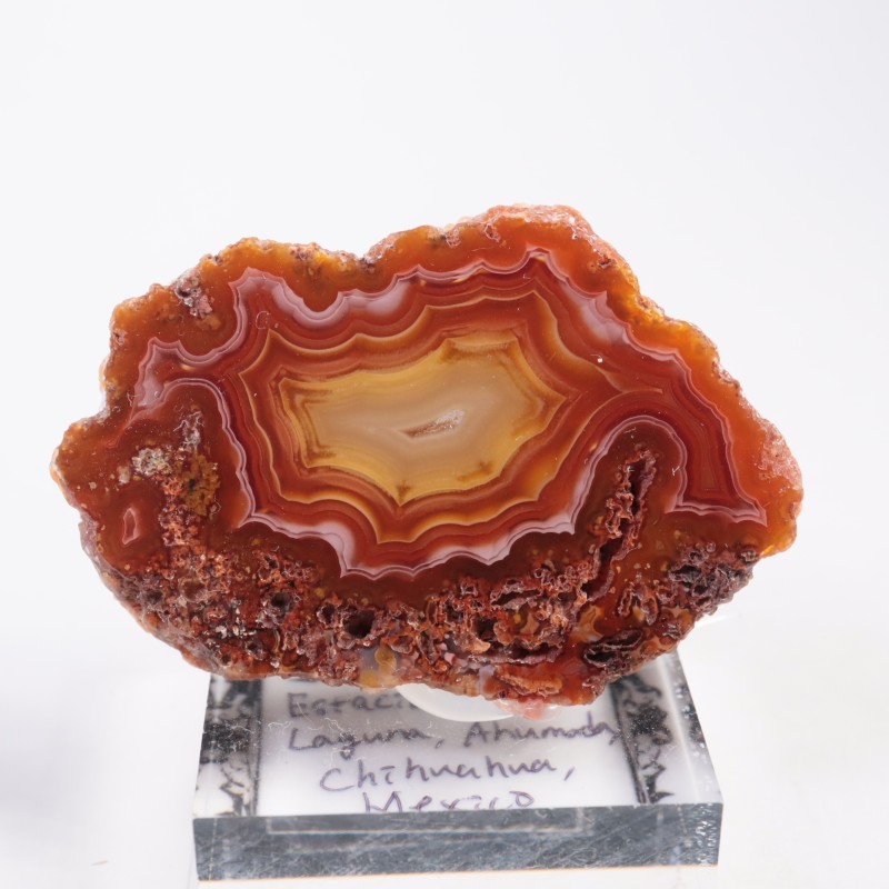 �ᥭ������ �饰�ʥ�������