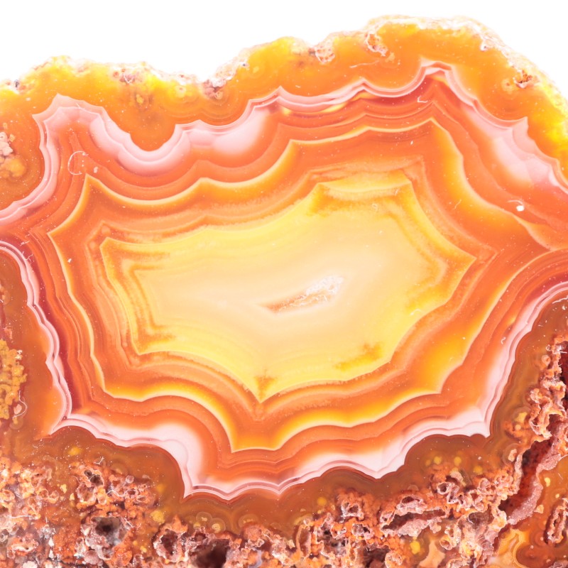 �ᥭ������ �饰�ʥ�������