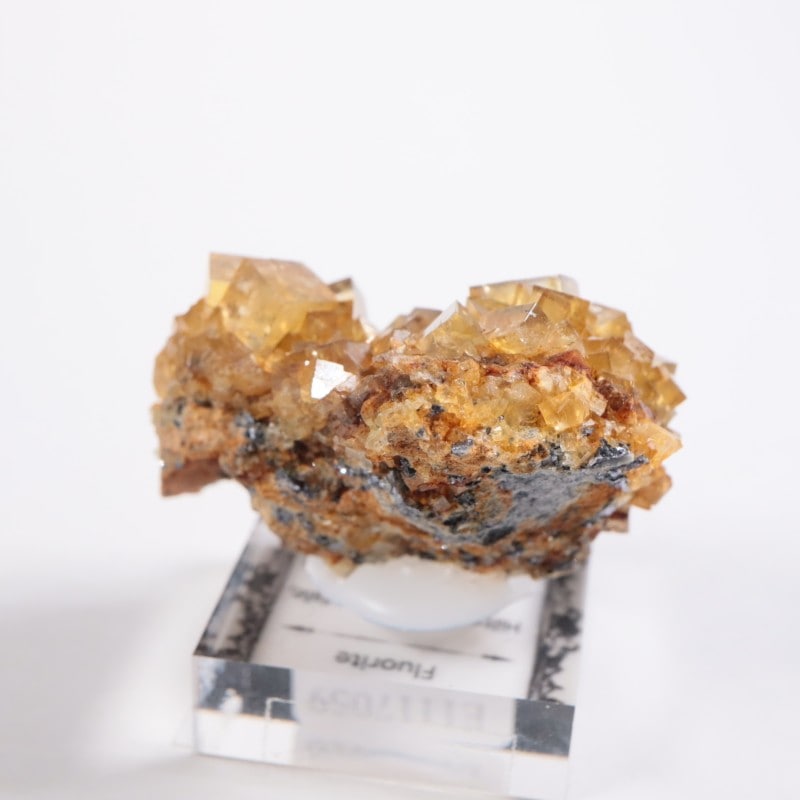 蛍石 フローライト イギリス ヒルトン鉱山 /原石 天然石 鉱物標本 ヒルトン鉱山産 フローライト | 鉱物標本,ハ行,フローライト/蛍