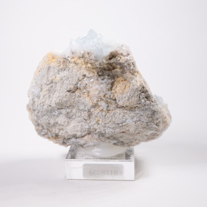 �ޥ��������뻺 ���쥹�ƥ���