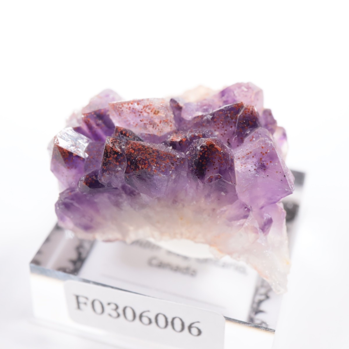 Moon Light�ۻ��� ���᥷����with�إޥ�����