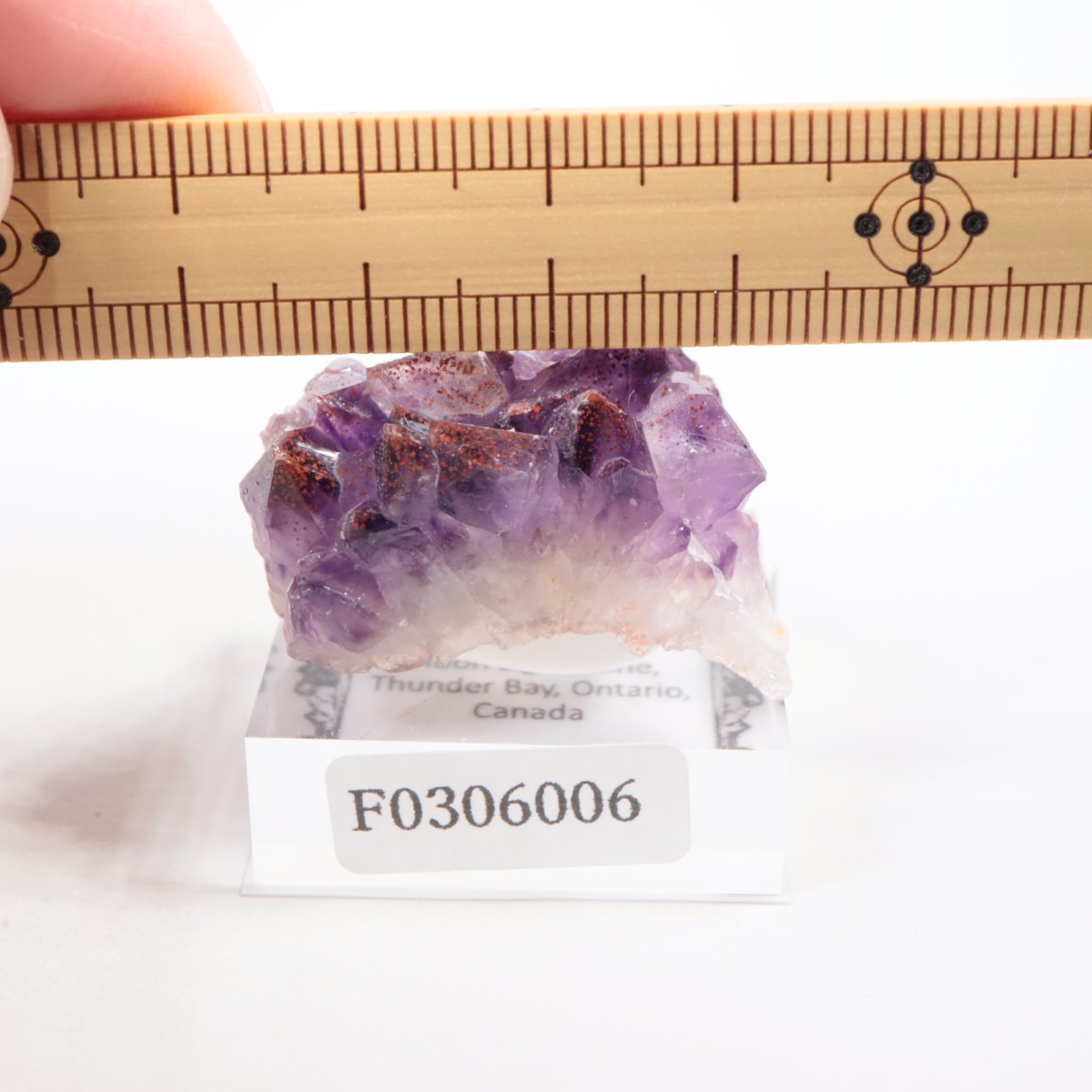 Moon Light�ۻ��� ���᥷����with�إޥ�����