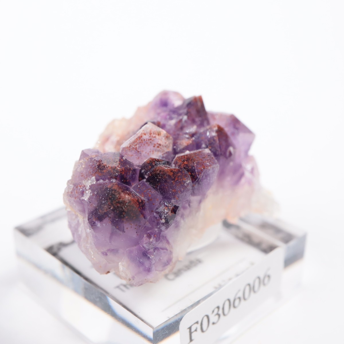 Moon Light�ۻ��� ���᥷����with�إޥ�����