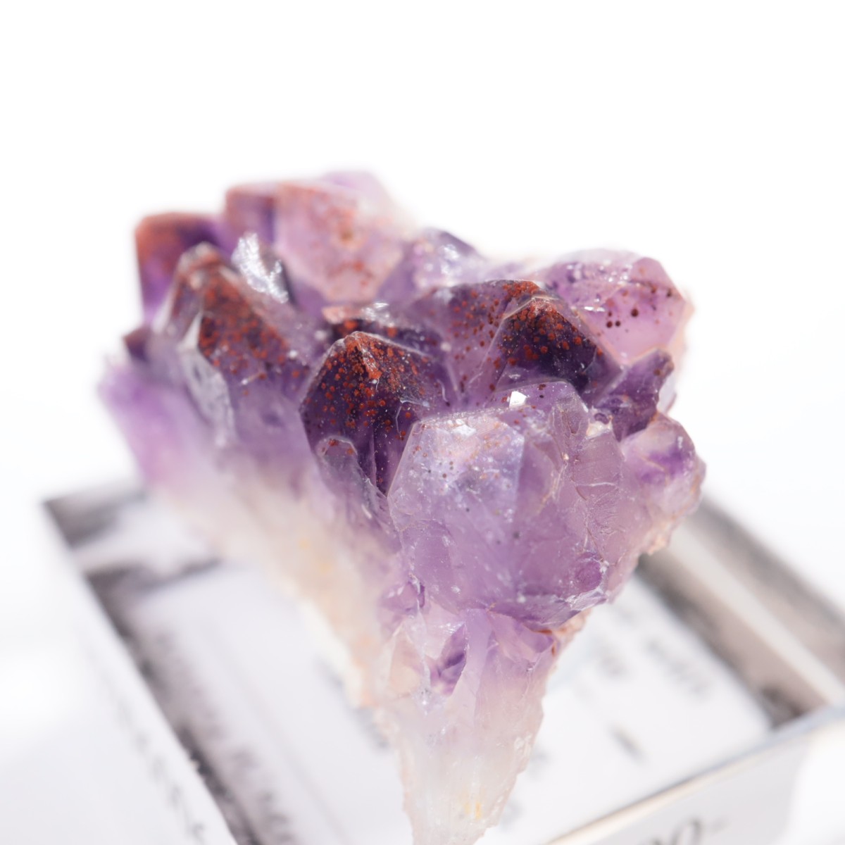 Moon Light�ۻ��� ���᥷����with�إޥ�����