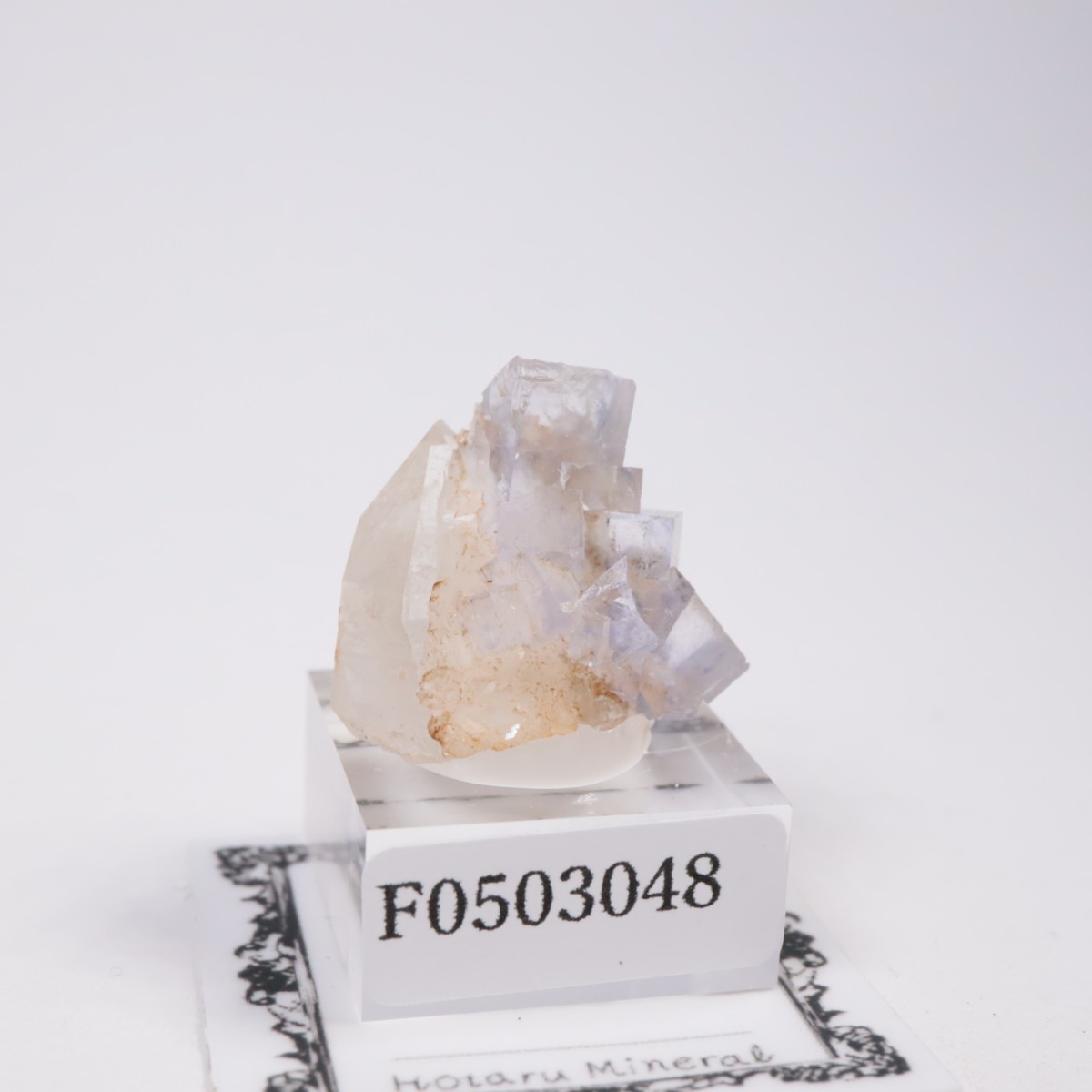 �䥪���󥷥��ۻ��� �ե����饤��