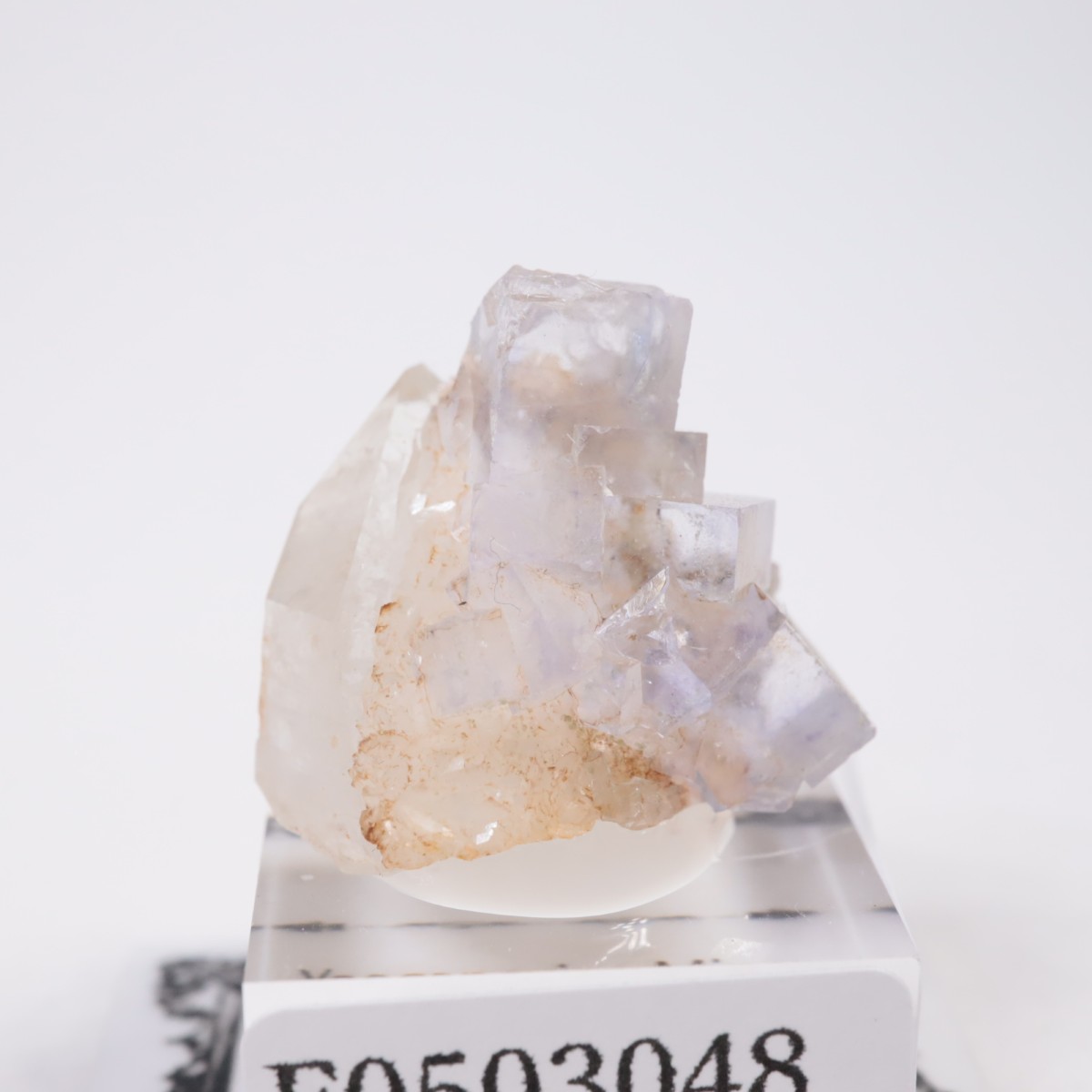 �䥪���󥷥��ۻ��� �ե����饤��