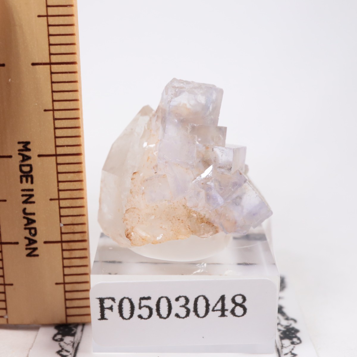 �䥪���󥷥��ۻ��� �ե����饤��