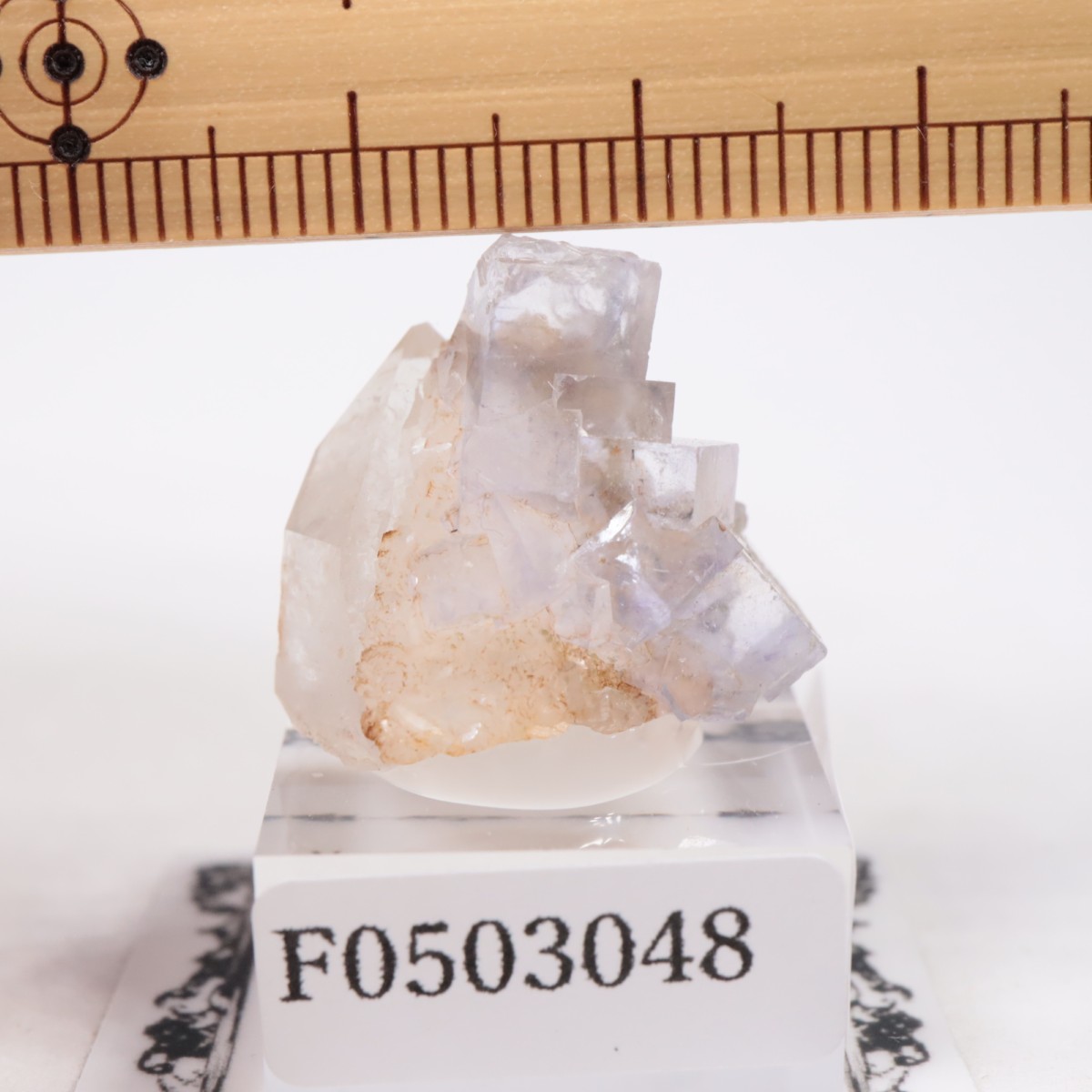 �䥪���󥷥��ۻ��� �ե����饤��