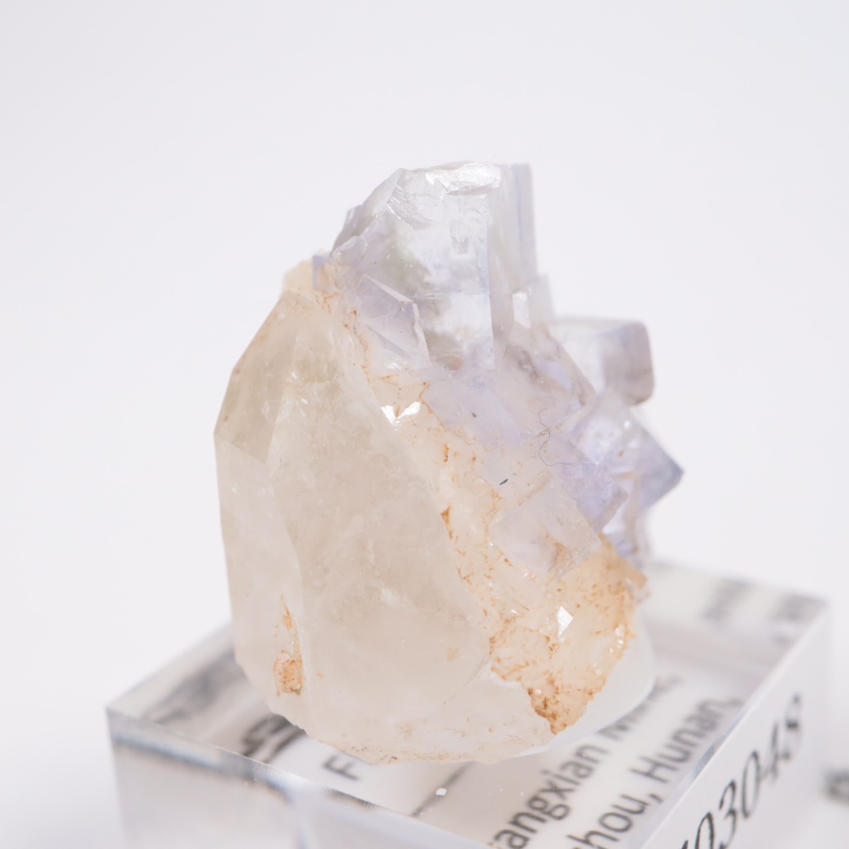 �䥪���󥷥��ۻ��� �ե����饤��