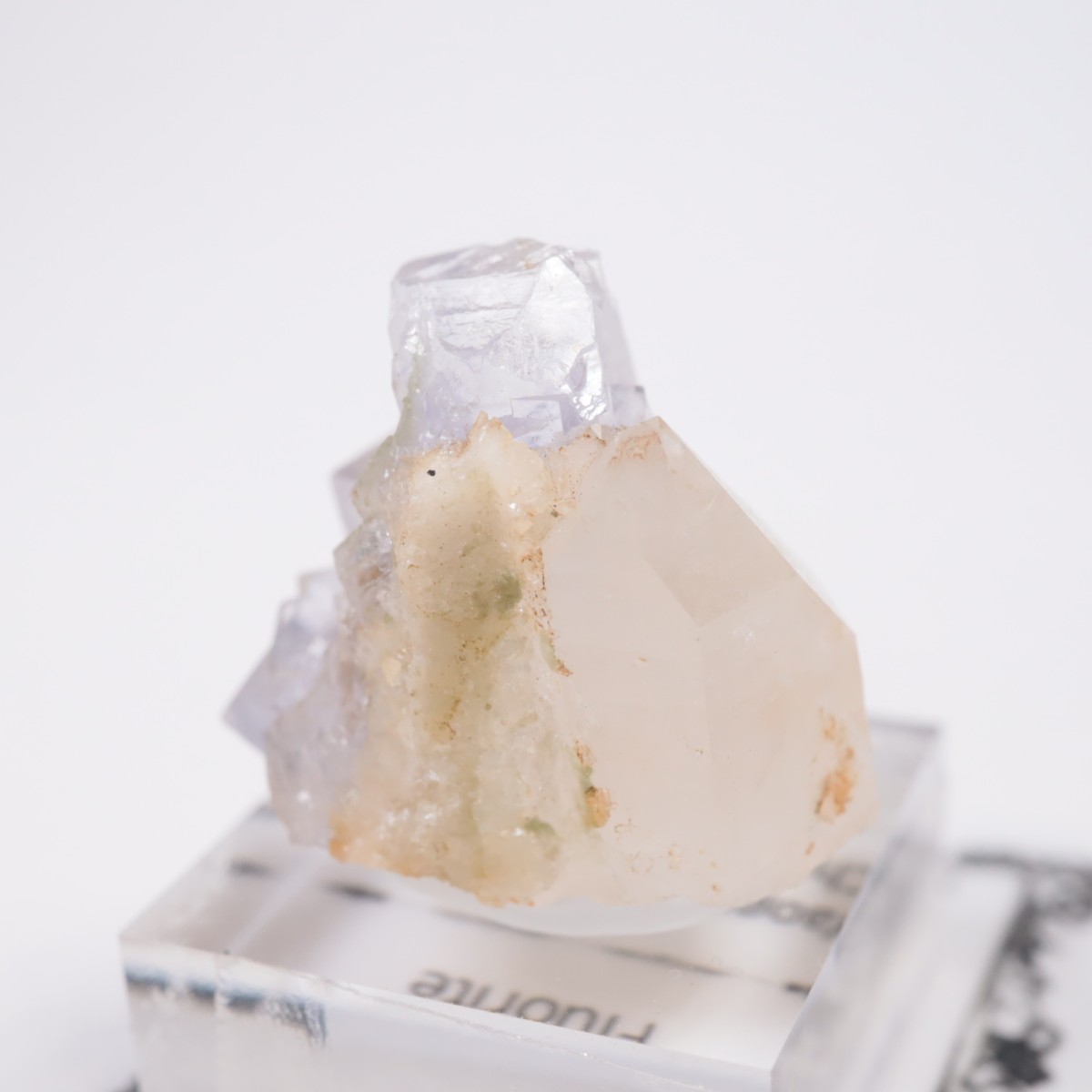 �䥪���󥷥��ۻ��� �ե����饤��