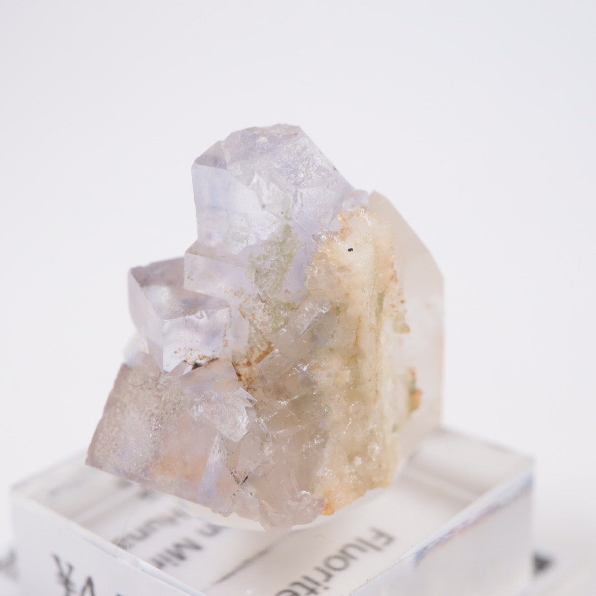 �䥪���󥷥��ۻ��� �ե����饤��