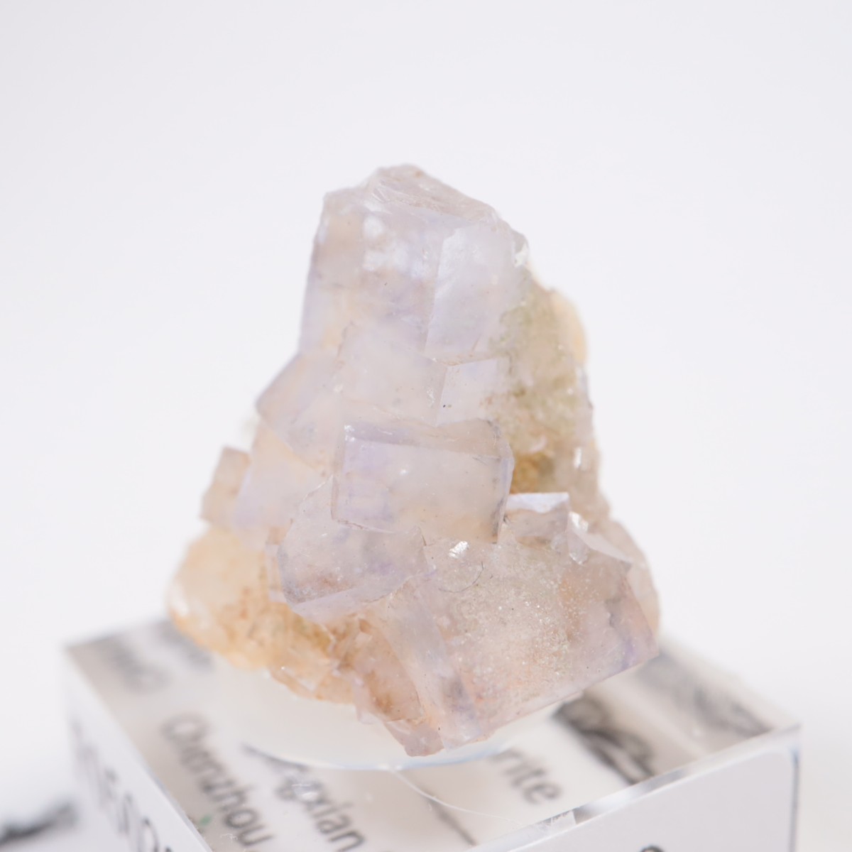 �䥪���󥷥��ۻ��� �ե����饤��