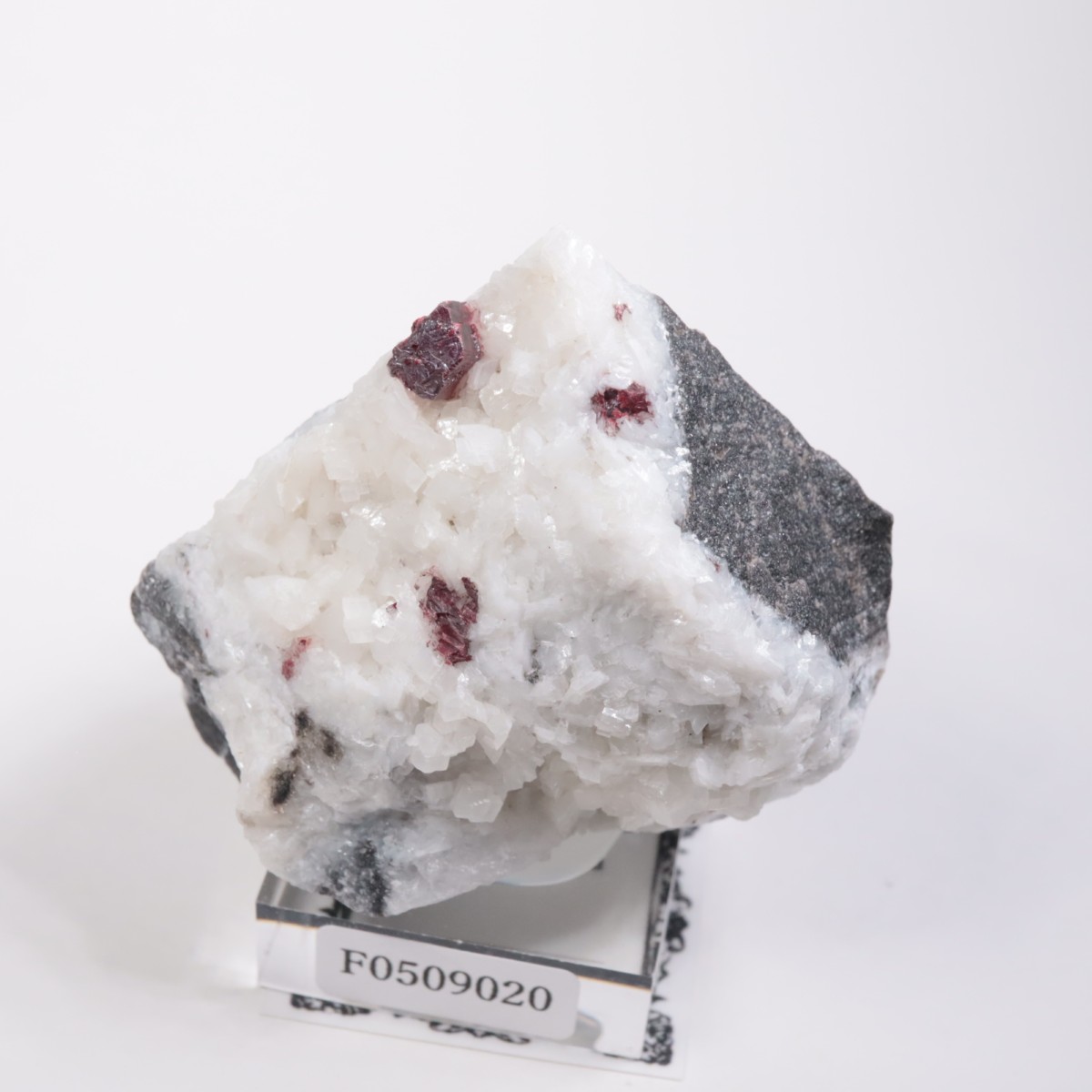 ��� ä���ʥ��ʥС���