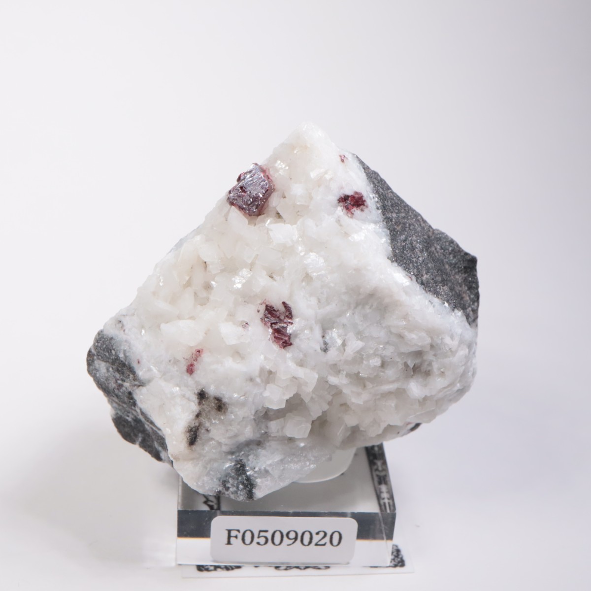 ��� ä���ʥ��ʥС���