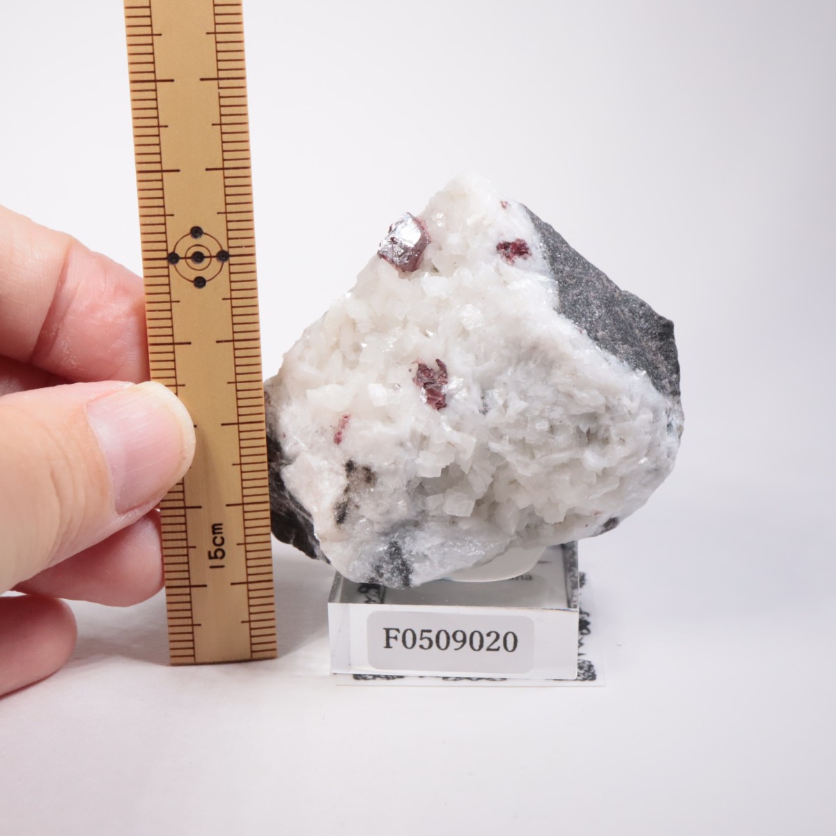 ��� ä���ʥ��ʥС���