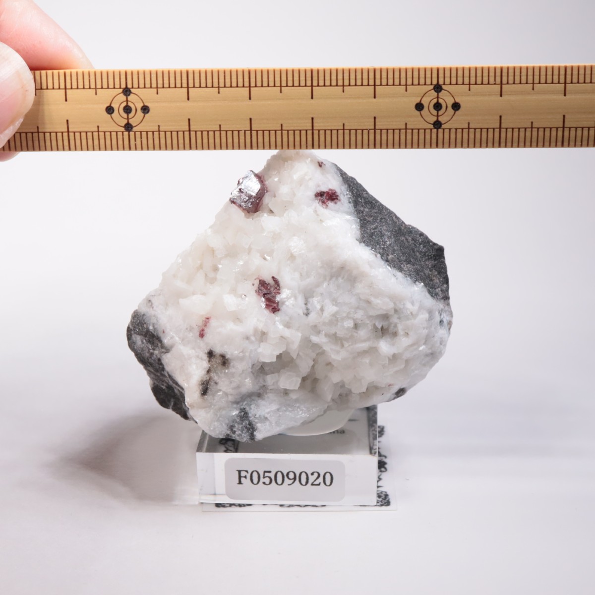 ��� ä���ʥ��ʥС���