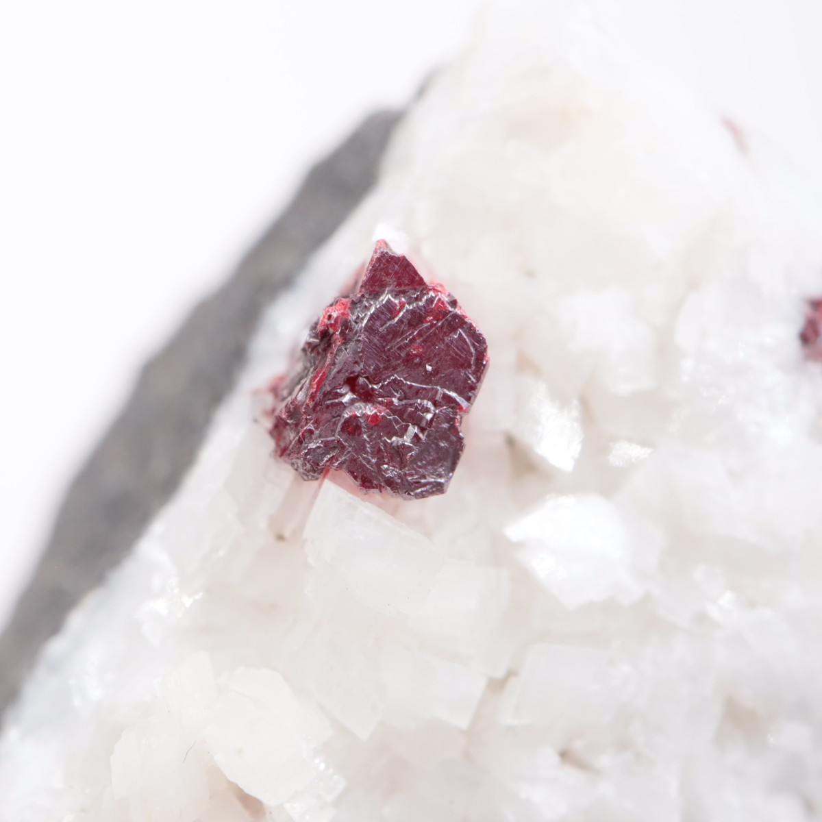 ��� ä���ʥ��ʥС���