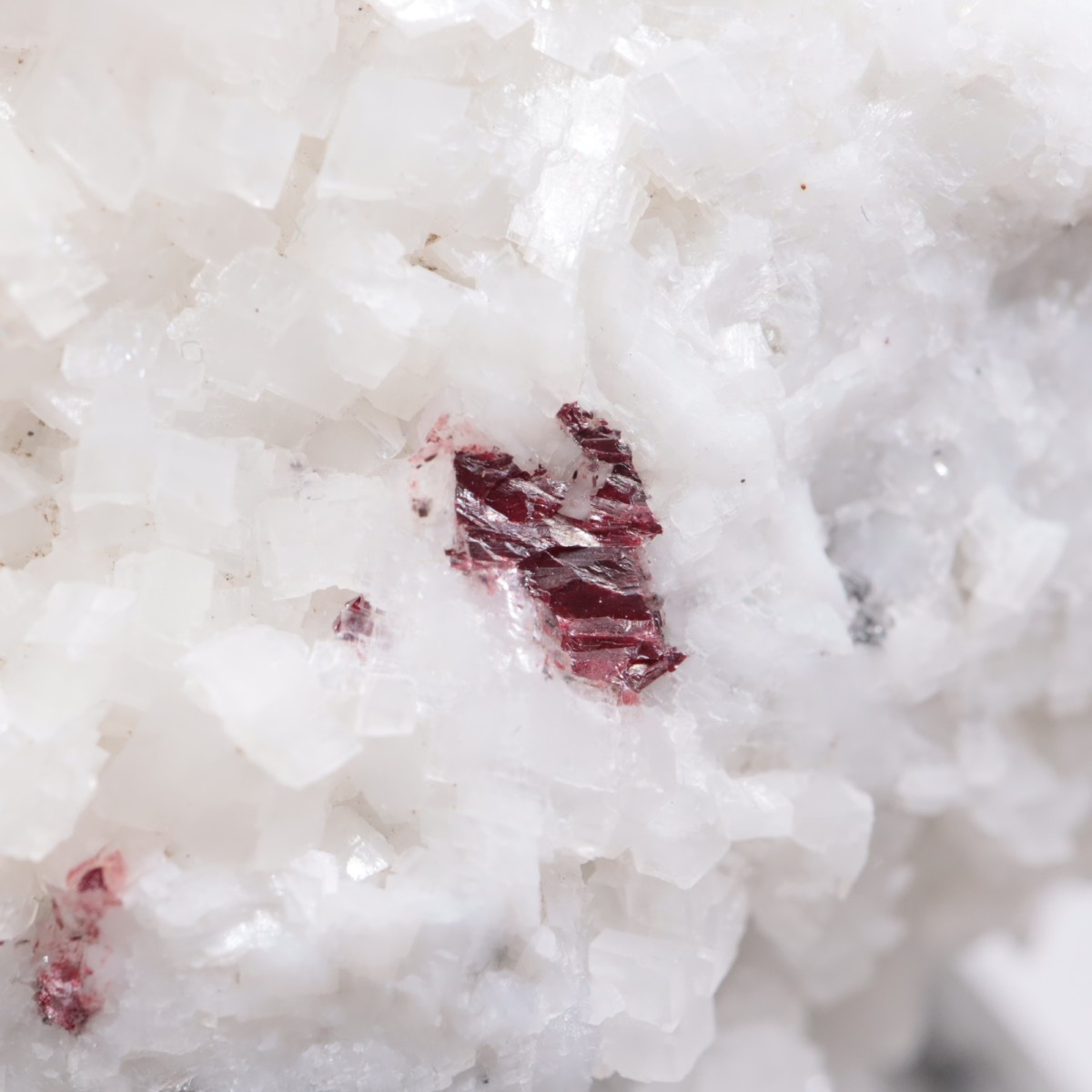 ��� ä���ʥ��ʥС���