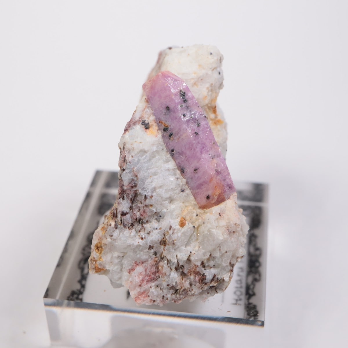 ���󥶥˥��� ��ӡ�