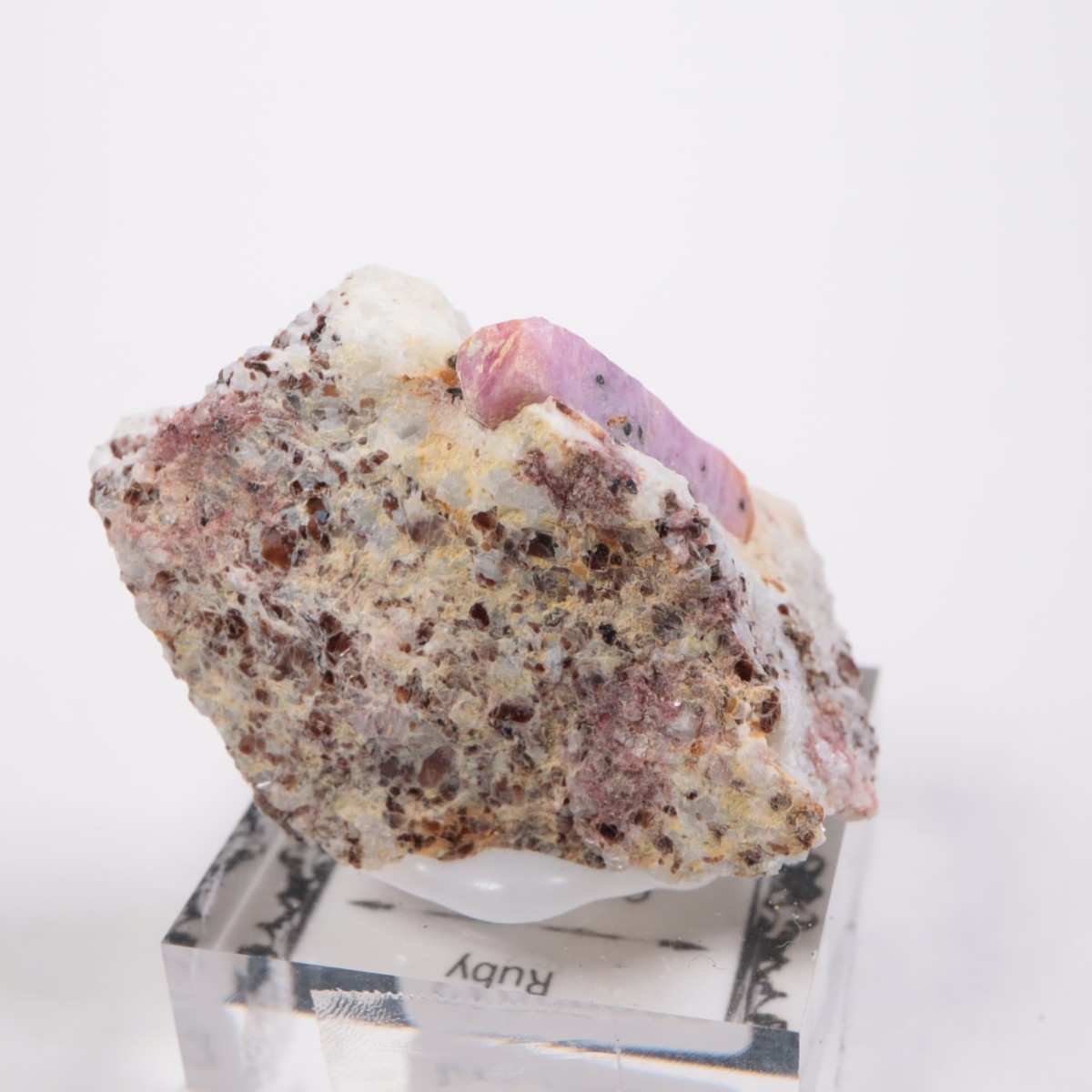 ���󥶥˥��� ��ӡ�