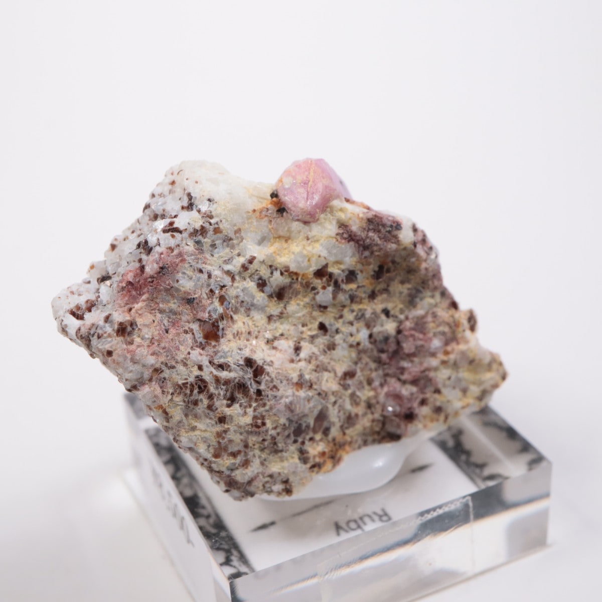 ���󥶥˥��� ��ӡ�