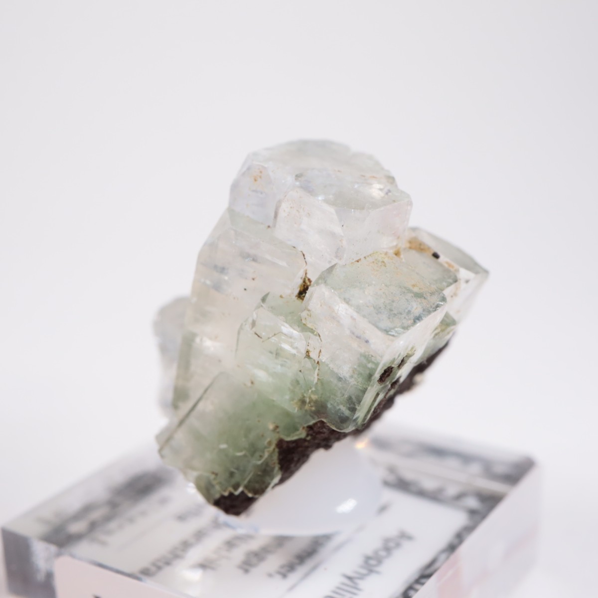 ����ɻ� ���ݥե��饤��