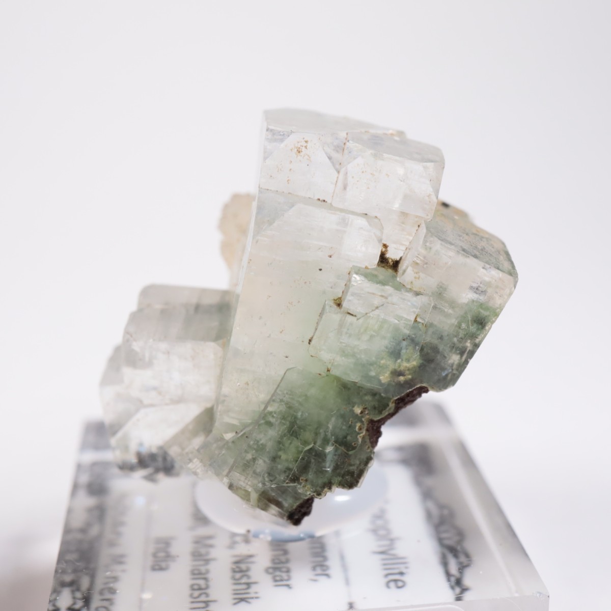 ����ɻ� ���ݥե��饤��