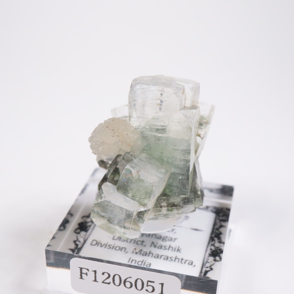 ����ɻ� ���ݥե��饤��