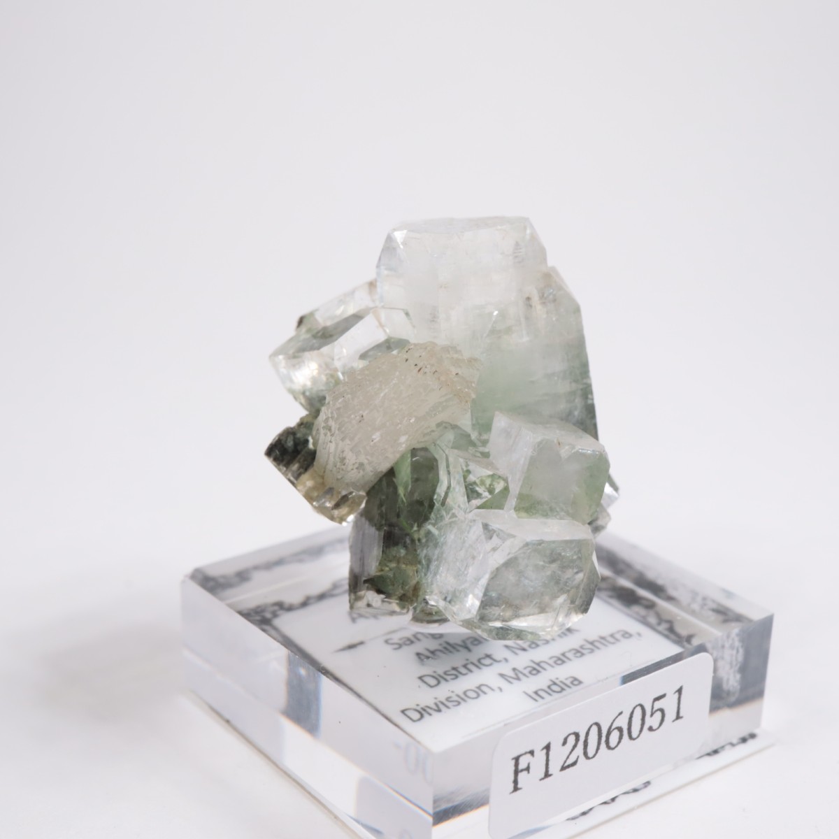 ����ɻ� ���ݥե��饤��