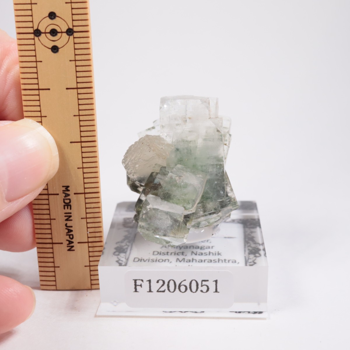 ����ɻ� ���ݥե��饤��