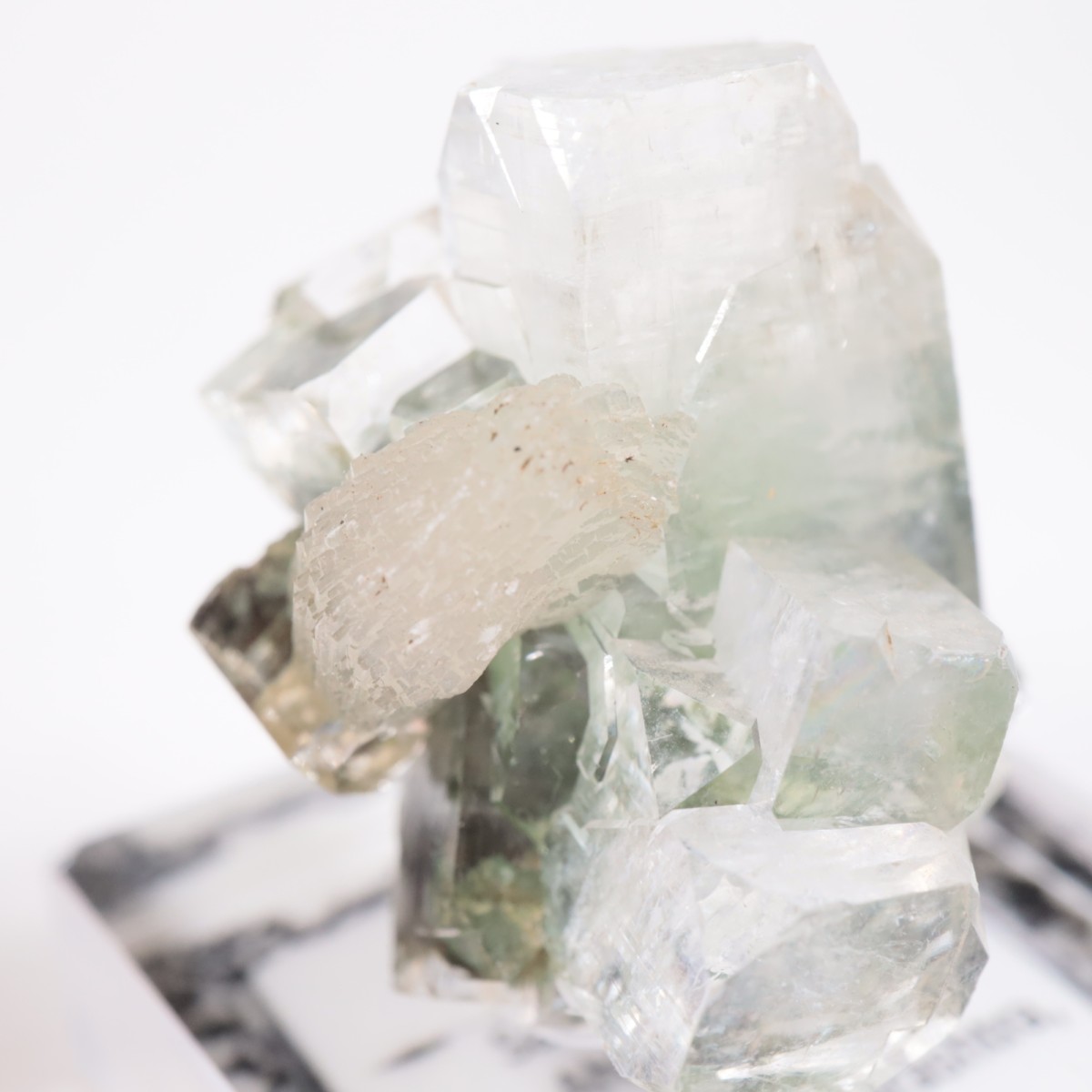 ����ɻ� ���ݥե��饤��