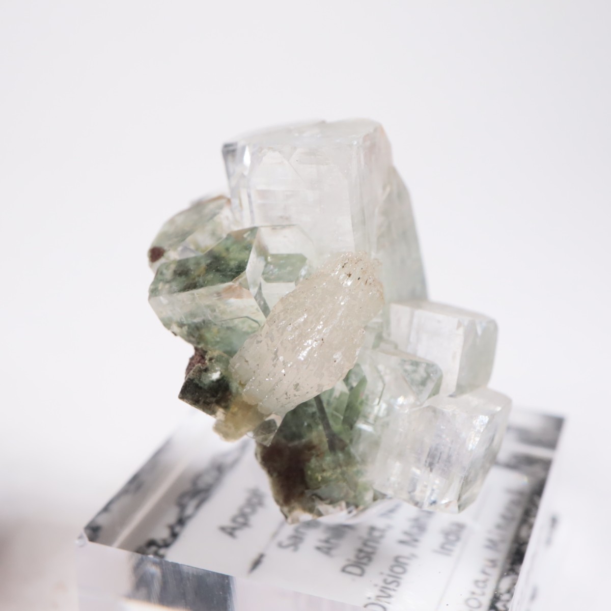 ����ɻ� ���ݥե��饤��