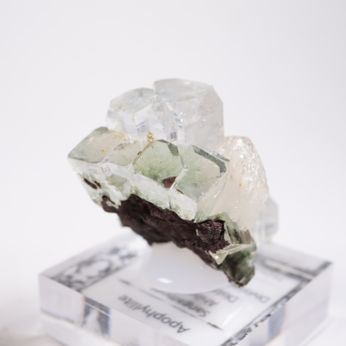 ����ɻ� ���ݥե��饤��