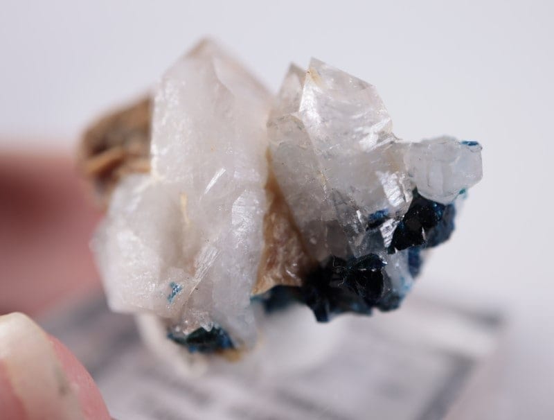 5_000000004184.jpg?1678209904