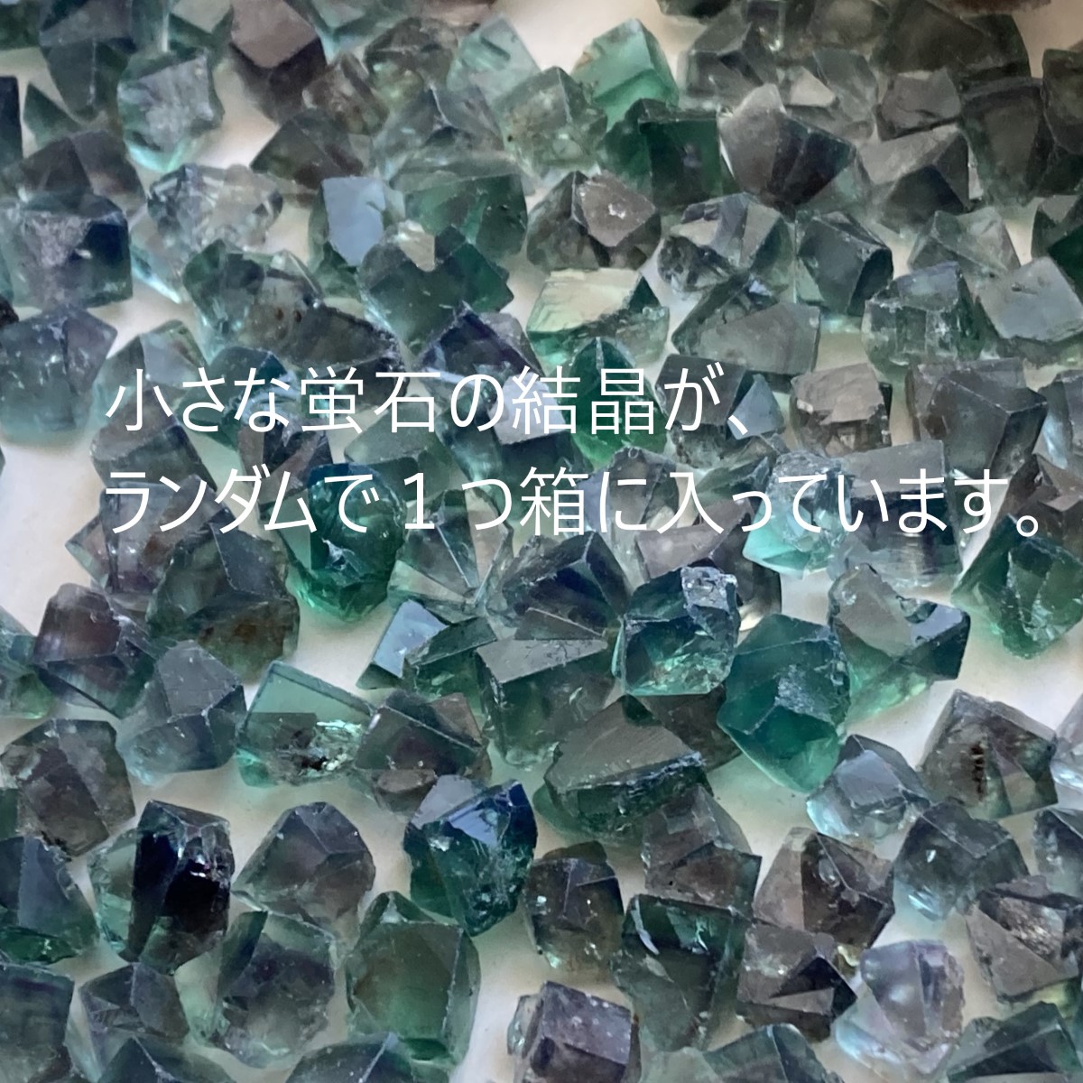 聖剣伝説LoMコラボジュエリー 蛍姫 | 宝石・ルース | ほたるみねらる